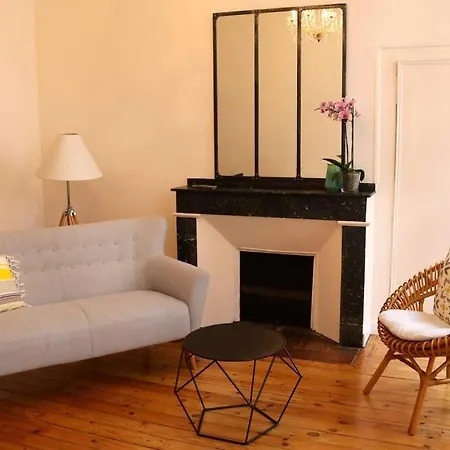 Beautiful T3 In Historical Centre تولوز